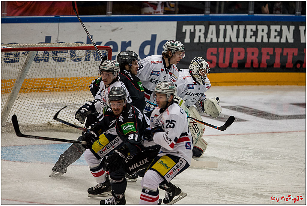 Koelner Haie - Eisbaeren Berlin, 13.11.2016
